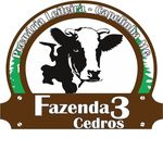 fazenda 3 cedros