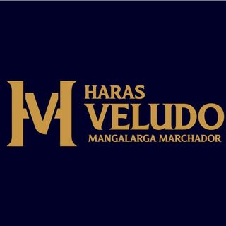 haras_veludo